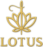 677c5a2b-16c9-4cf5-9876-89939fba9a97